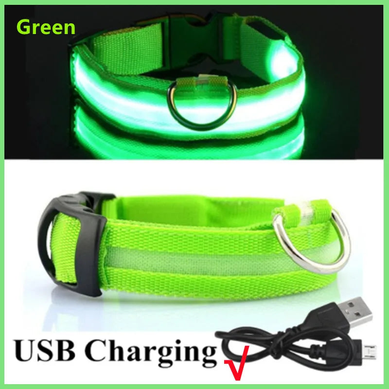 Rechargeable Luminous Dog Collar