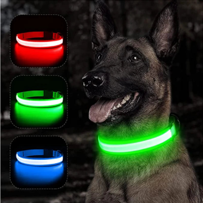 Rechargeable Luminous Dog Collar